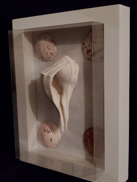 Clear ShadowBox